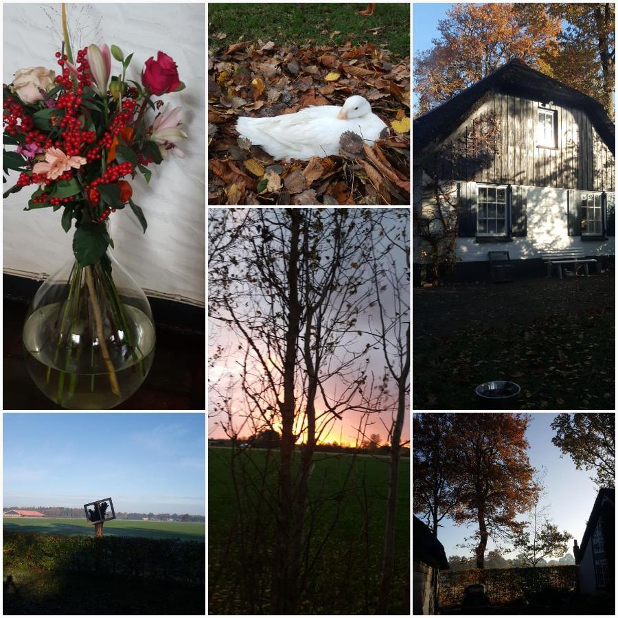 Bed and Breakfast Grenier'S Punthorst Экстерьер фото